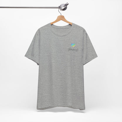 Gray t-shirt with a blue/green/yellow logo on a hanger against a white background