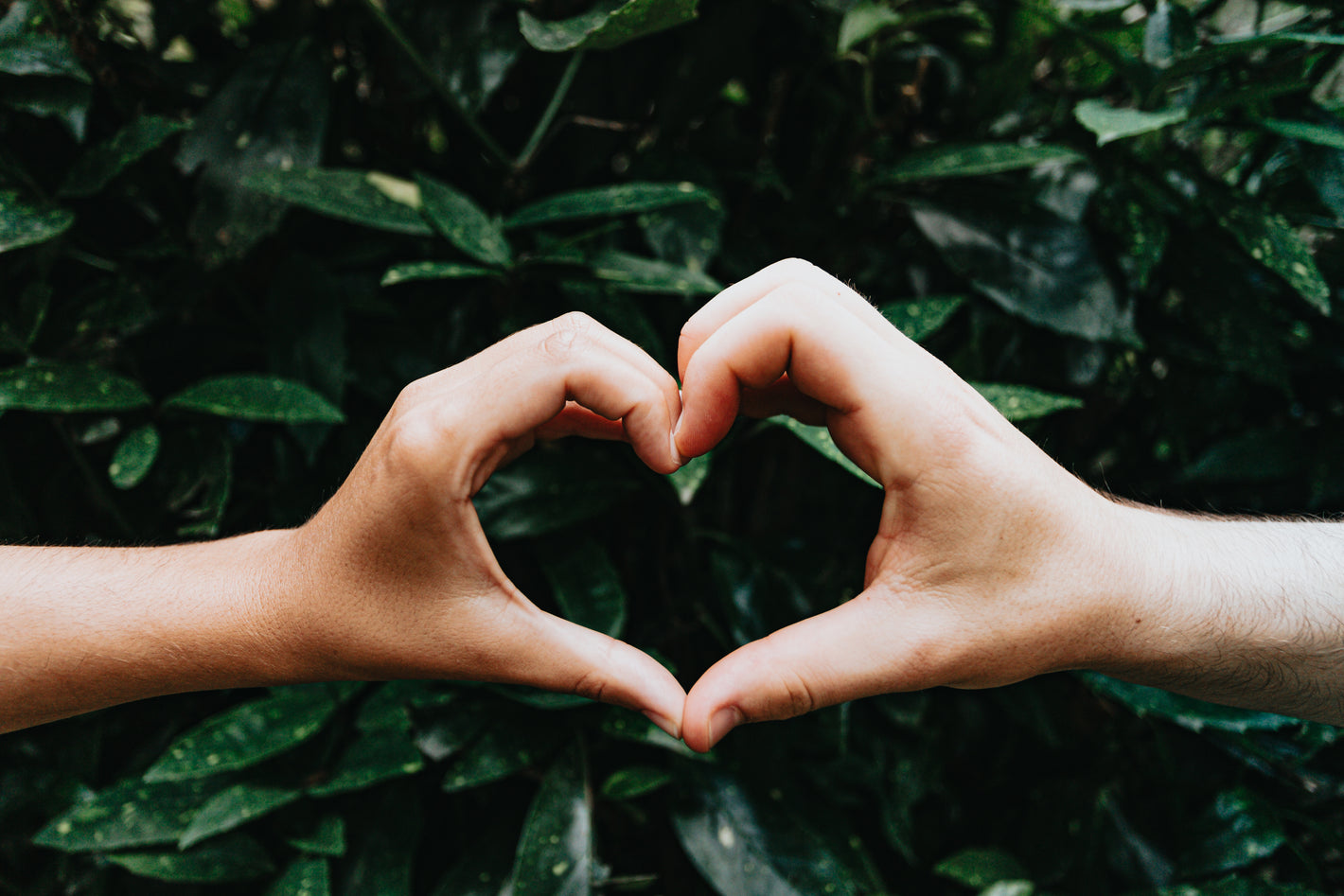 Two different hands form a heart shape against a background of green leaves.